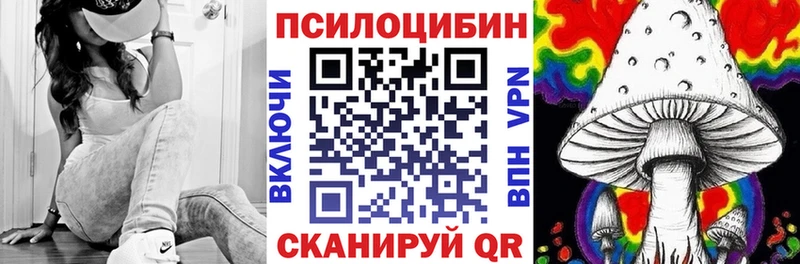 Галлюциногенные грибы мицелий  Новосиль 